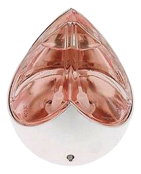 Kingdom Limited Edition 2004