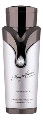Magnificent Pour Homme Armaf