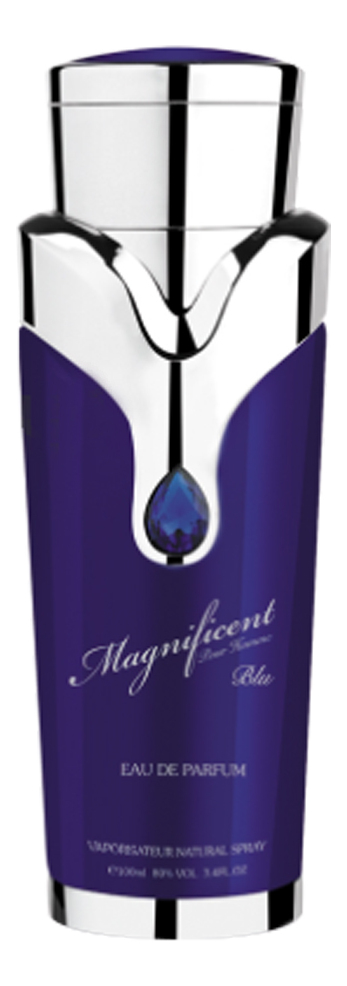 Magnificent Blu Pour Homme Armaf