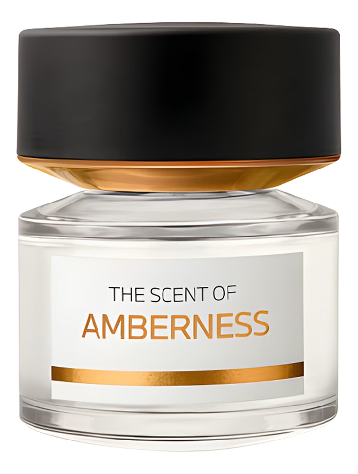 BMW Fragrances Amberness парфюмерная вода 50ml