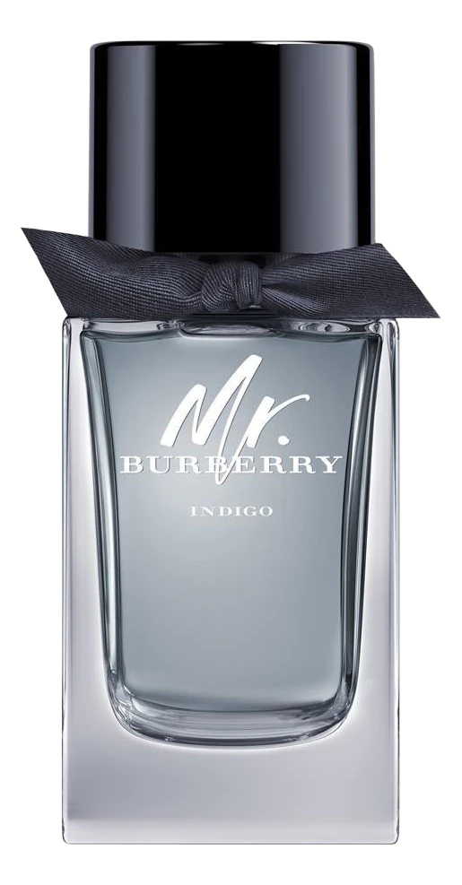 Burberry Mr. Burberry Indigo туалетная вода 100ml