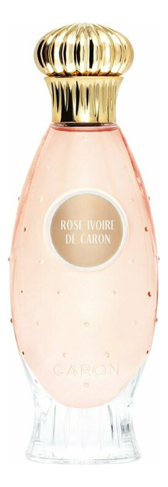 Rose Ivoire Caron