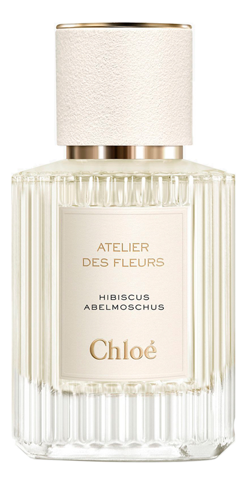Atelier Des Fleurs Hibiscus Abelmoschus Chloe