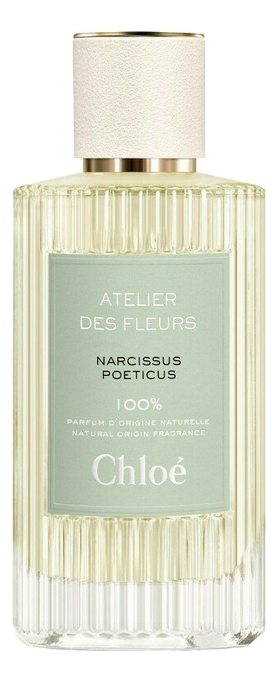 Atelier Des Fleurs Narcissus Poeticus Chloe