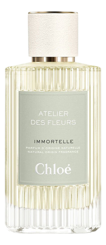 Atelier De Fleurs - Immortelle Chloe