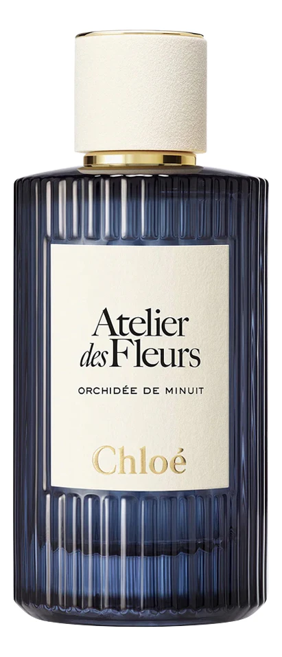 Orchidee De Minuit Chloe