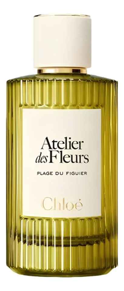 Plage Du Figuier Chloe