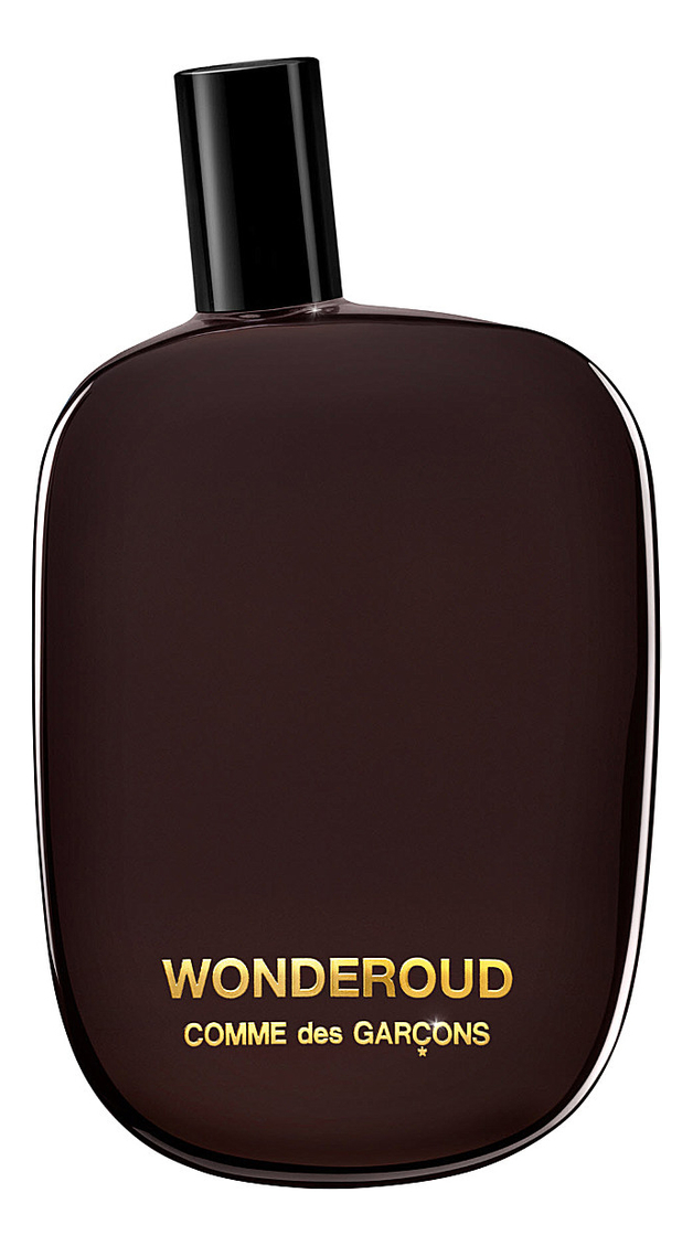 Wonderoud Comme des Garcons