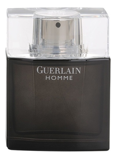 Homme Intense Guerlain