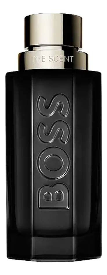 The Scent Magnetic For Him Hugo Boss