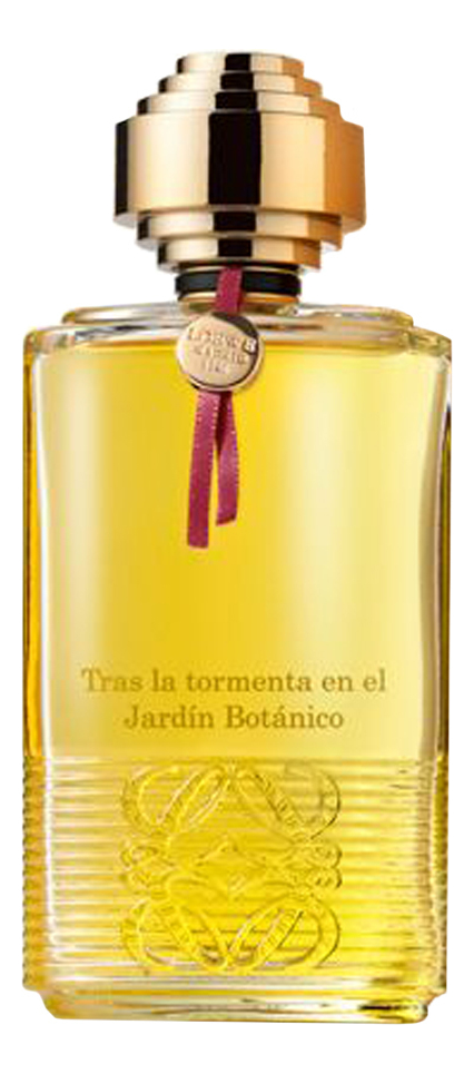 Tras La Tormenta En El Jardin Botanico Loewe