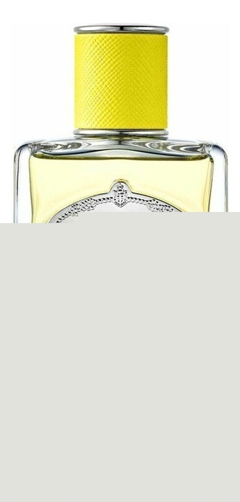 Prada Infusion DYlang парфюмерная вода 100ml