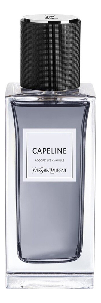 Capeline Yves Saint Laurent